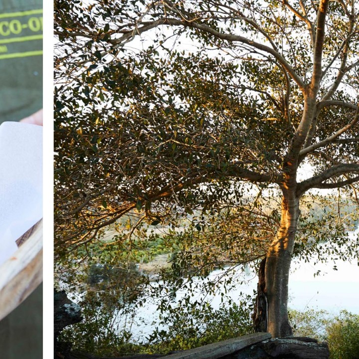 Cooks Co-Op with Martin Boetz