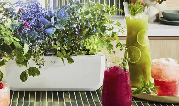 Photo of 3 cocktails: 'Calm Before the Storm', 'Makes You Blush', & 'Up Beet'.