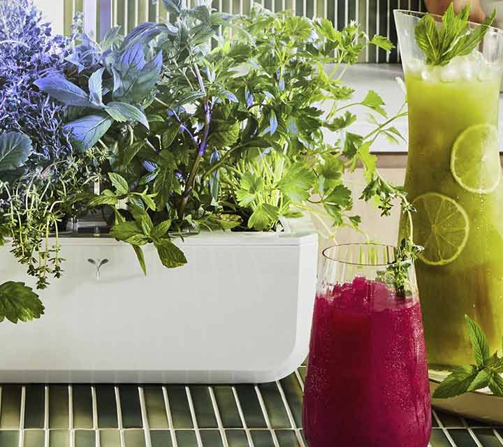 Photo of 3 cocktails: 'Calm Before the Storm', 'Makes You Blush', & 'Up Beet'.