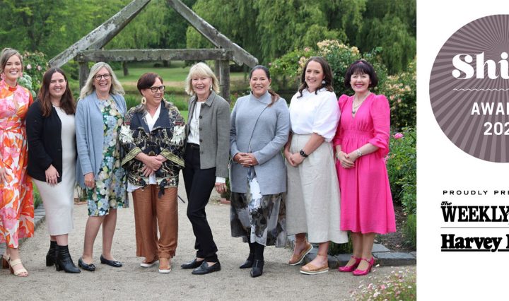 The Shine Awards 2024 Logo, alongside past Shine Awards winners.